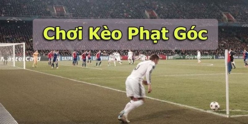 Phân biệt các kèo phạt góc phổ biến nhất hiện nay