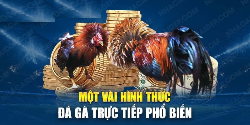 Những thể loại đá gà trực tuyến nhà cái VN88 