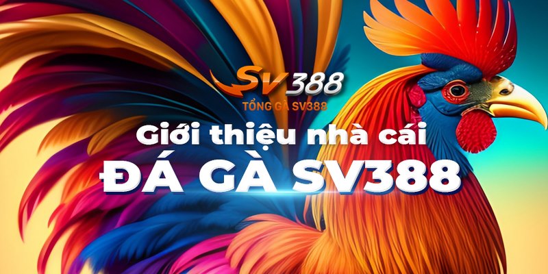 Đá Gà Online SV388 - Sân Chơi Cá Cược Dành Cho Mọi Kê Thủ 2024